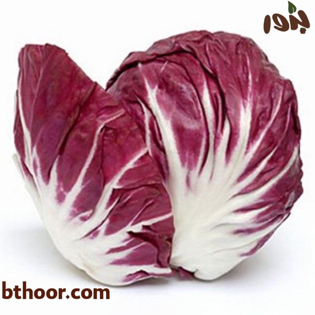 الهندباء هو الإسم الشائع
الإسم العلمي:Cichorium intybus var. foliosum
تسمى أيضاً:الطرخشون،والهندب
•الهندباء ورقة حمراء باسم الهندباء الحمراء الإيطاليةوهي نبات معمر
•يحتوي على نسبة عالية من المركبات الغذائية
•تتحمل الصقيع
•لاتتحمل الجفاف والحرارة المرتفعة
•تنمو في مختلف الترب