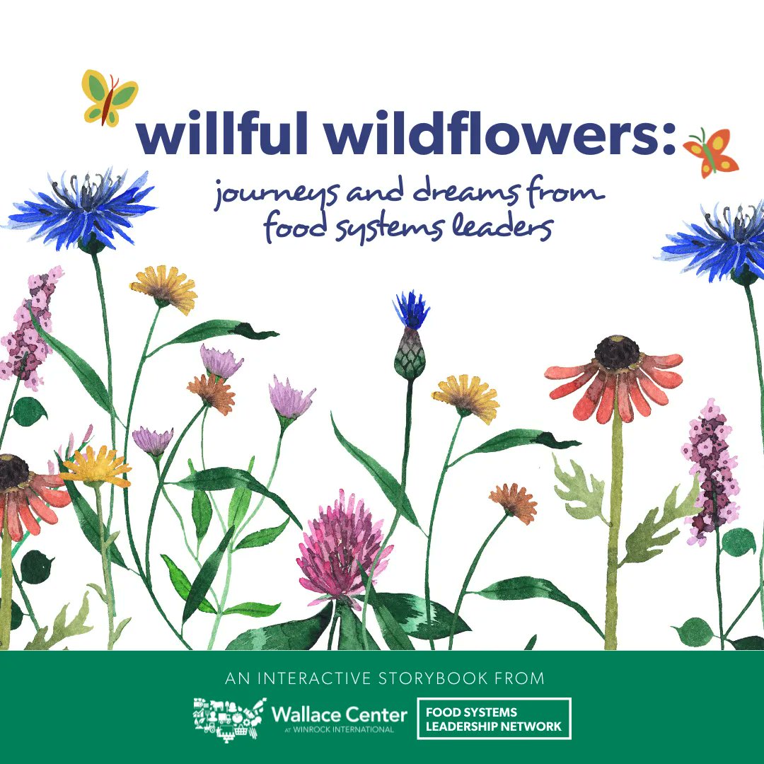 WallaceCenter's tweet photo. The movement for more equitable and just food systems is full of passionate & intentional people. Meet the leaders driving #foodsystemschange & be inspired by their brilliance, creativity, and commitment to change. #FSLNetwork #FSLNwildflowers https://t.co/sA8jxaZCwQ https://t.co/H8lSSbQkBn