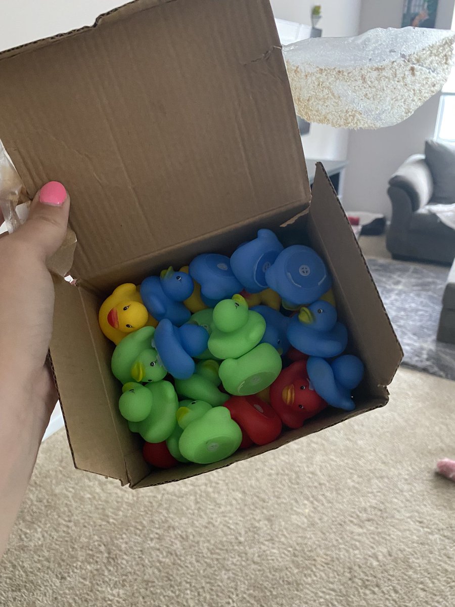 Ally Szotak Thompson, Ed.M. tweet media