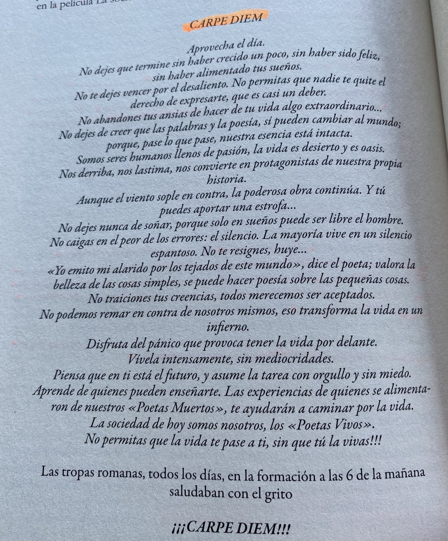 Fornitura candele Crea la vita poema de walt whitman carpe diem tappeto