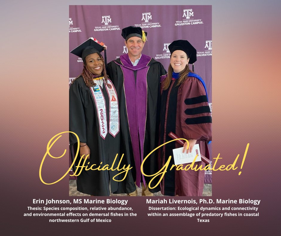 TAMUG Shark Biology and Fisheries Science Lab tweet media