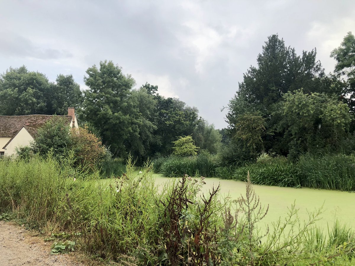 LAdelaideS's tweet photo. #essex #dedham #flushwork #haywain #fleabane #voysey #frinton https://t.co/drv6CoeEUm