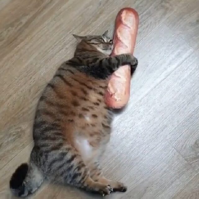 Emma Jackson tweet media