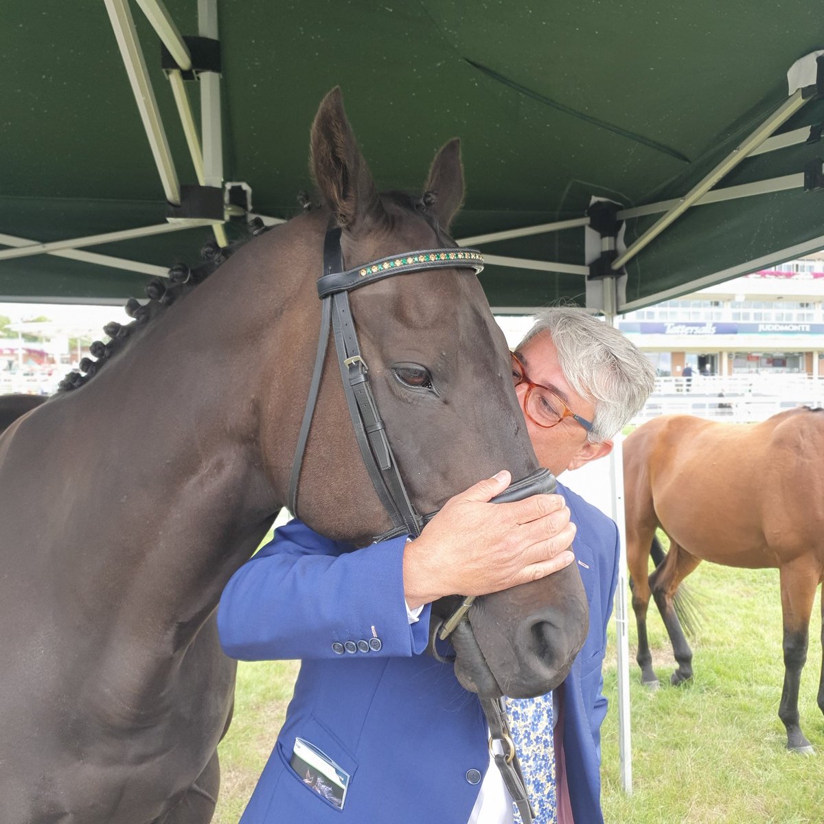 Unitedcolours78's tweet photo. Touching moment when @cowellracing was reunited with Goldream @yorkracecourse @NewBHorses #theyneverforget https://t.co/QzRkQFeHOP
