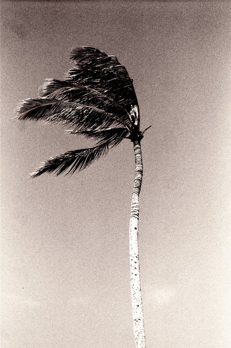 Nomfundo Moh - Phakade Lami
youtu.be/ns1hOt6Biqc

De Mthuda… - Emlanjeni
youtu.be/USTKKifhbLA

Beatenberg - Pluto (Live)
youtu.be/jShTVL3EAcs

..
Th&amp;o. - Prosecco
youtu.be/OFT__rtBisI

.. .
#music #Africa