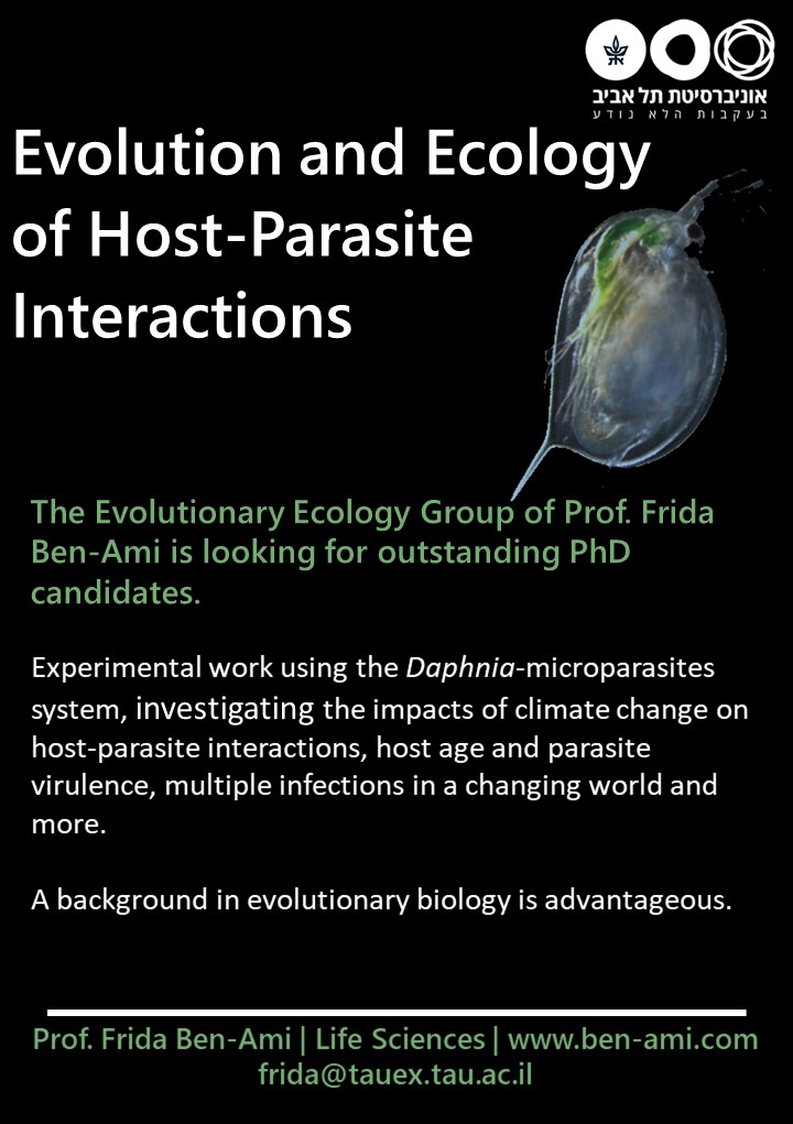 Currently attending #ESEB2022 . If you are looking for a PhD or Postdoc position, drop me an email or meet me during the breaks.