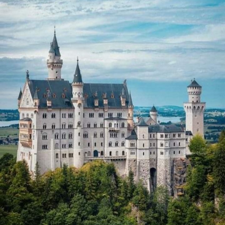 Simonal65407906's tweet image. 