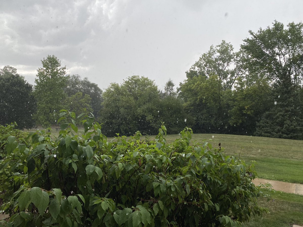 mfkaelin's tweet photo. It won’t rain on our parade tonight! I don’t think…
😅 This is supposed to clear out by dark! #LiveChase #MiAurora https://t.co/g9jEaR9pzN
