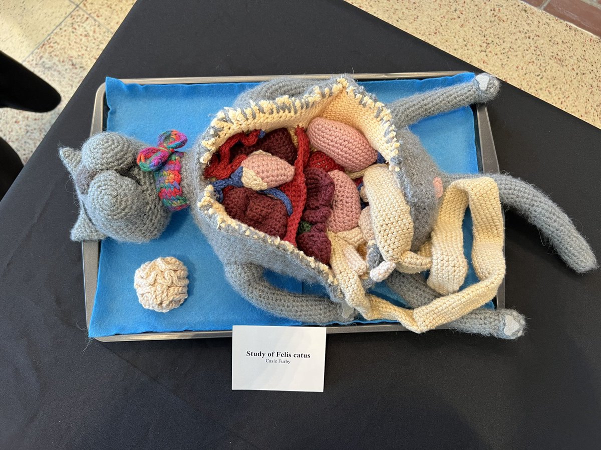 Lou Edje, MD, MHPE, FAAFP (she/her) tweet media