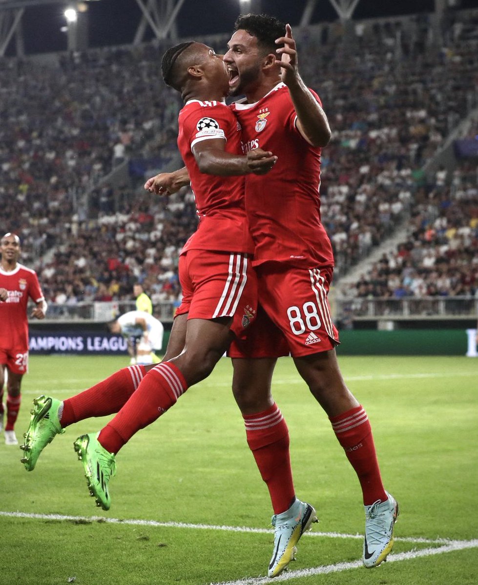 Imagem com demasiada qualidade ! 😍🦅