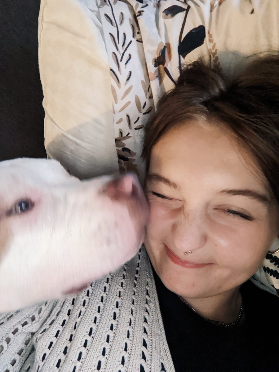 callmetabss's tweet photo. If you didn't already know, this is Gary our new dog. He is the cutest little doggo and LOVES smooches. Tell Gary he is a good boy! https://t.co/VgYRyD36z2
