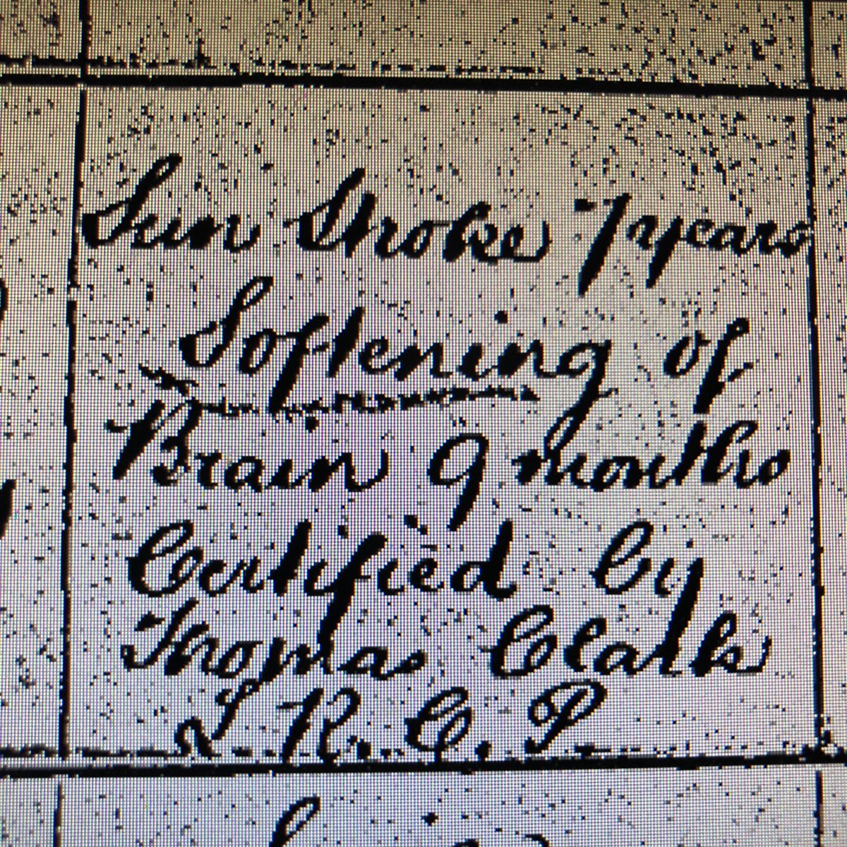 🇺🇦🌻Willsman One-Name Study 🌻🇺🇦 tweet media