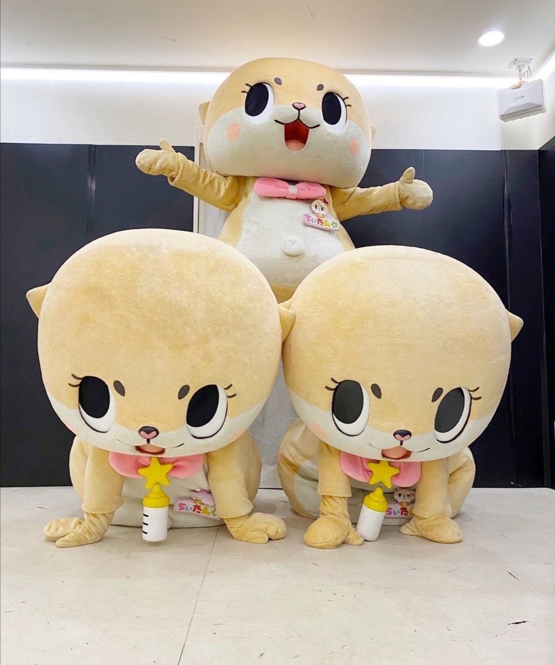 ちいたん 少し寝不足なので小1時間お休みしますっ☆ちぃたん☆ですっ