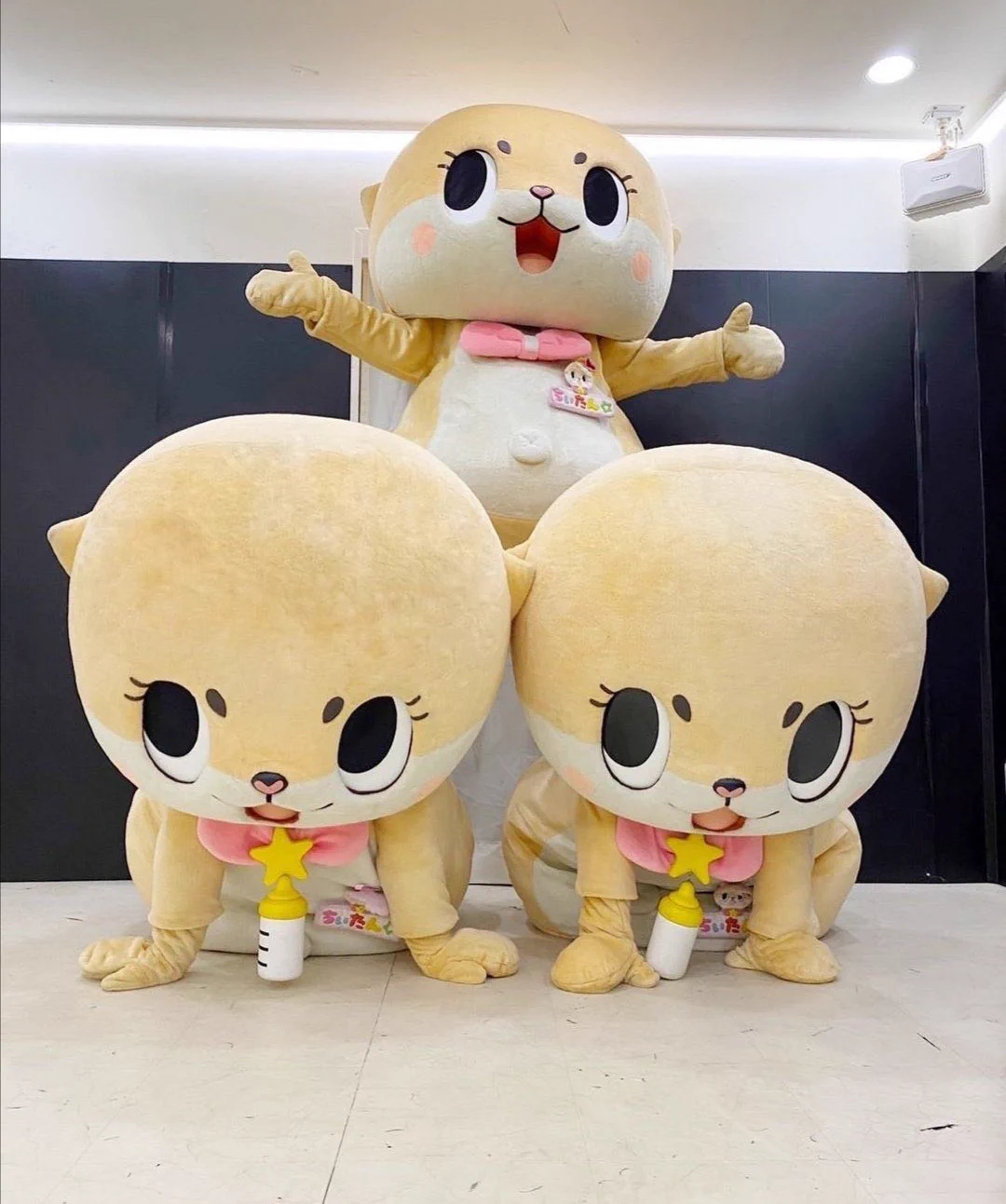 ちぃたん☆／Chiitan on X: 