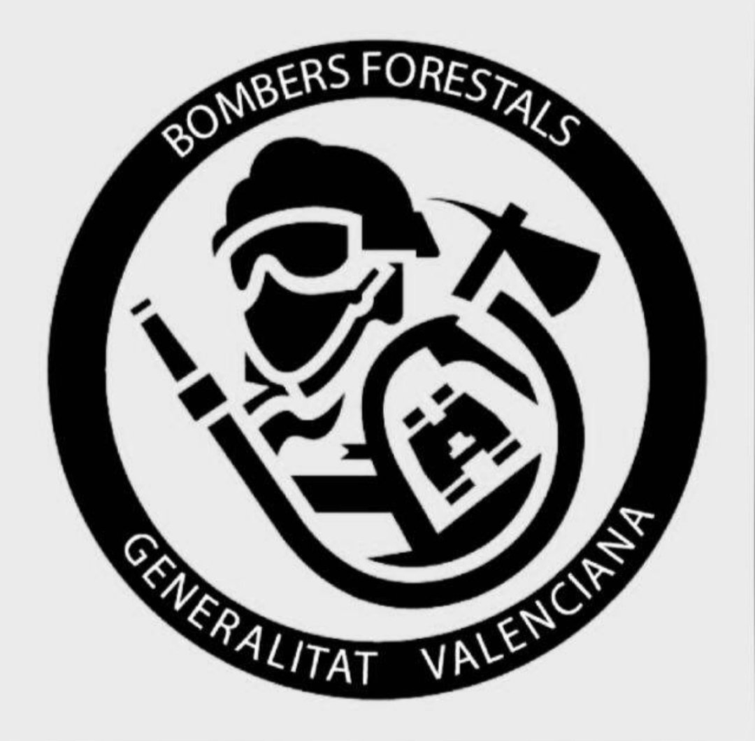 Bomber Forestal tweet media