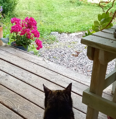 Good evening to you go here😻😻