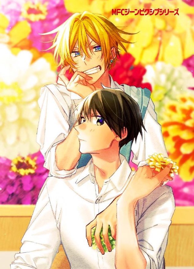 daily hirakagi (@dailyhirakagi) on Twitter photo 