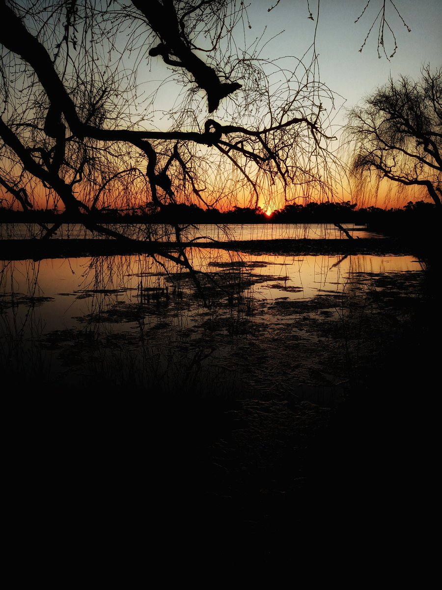 Shaunn84's tweet photo. A walk at the dam this evening. #photo #picoftheday #photograghy  #NaturePhotography #landscape #relax #sunset #NightPhotography #thinking #photooftheday https://t.co/Tm6aVhuFza