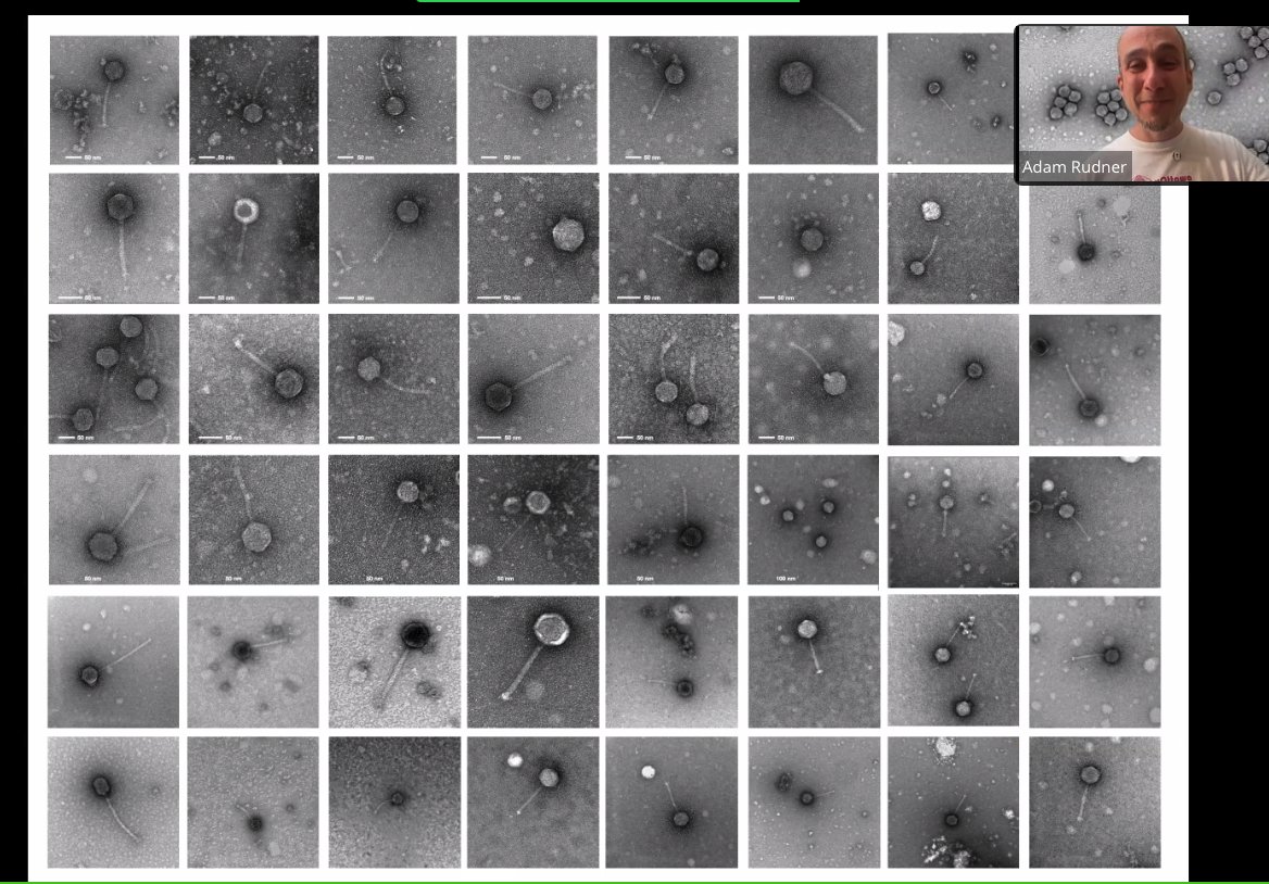 SEA-Phages at Univ. Ottawa by Adam Rudner !
<a href="/PhageCanada/">Phage Canada</a>