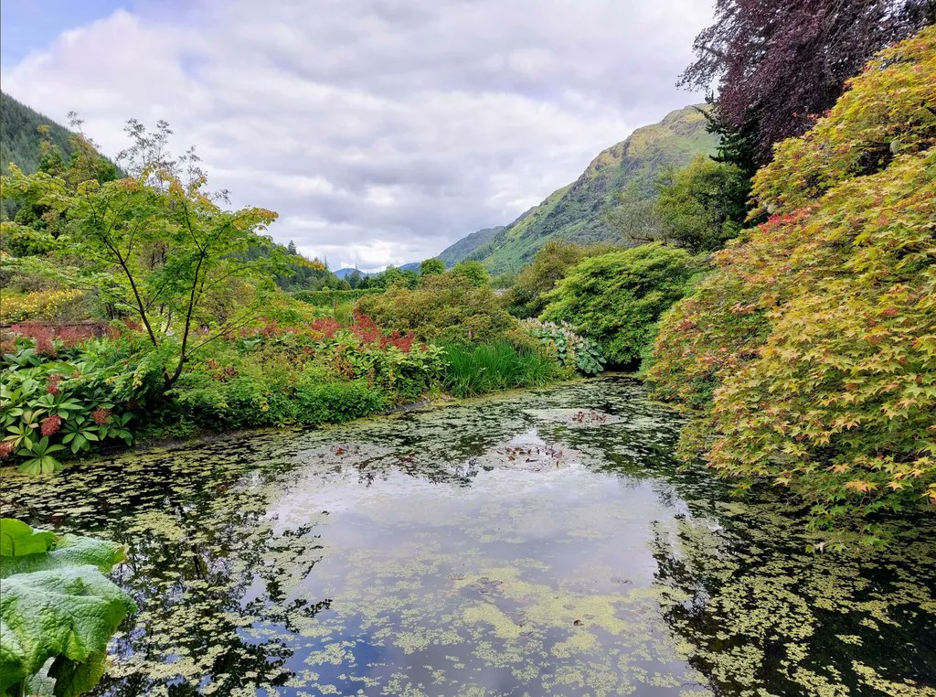 Western_Ferries's tweet photo. Wherever you look when you visit @BenmoreBotGdn you’ll want to take a photo! Just look at this one from @johnwolf7707 from the ornamental pond. Benmore Botanic Garden is a great day out for nature lovers. https://t.co/RlCw6rJBJD