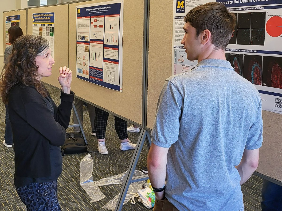 Michigan Neuroscience Institute (MNI) 〽️🧠 tweet media