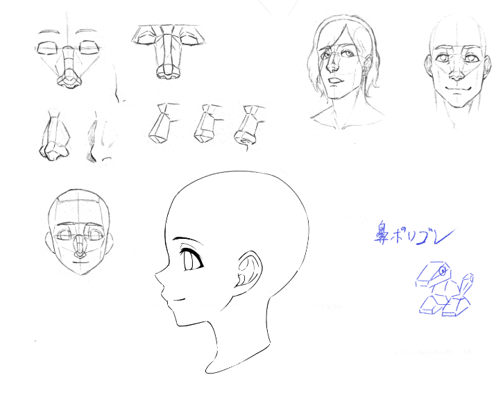 鼻描く練習しとった〜
男キャラをかっこよく描くのにも重要だし、知ってたら女キャラにも活かせるからね^^ 