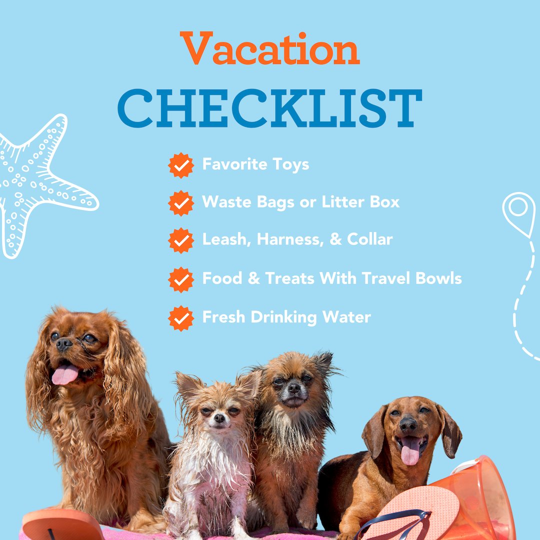BestPets tweet picture