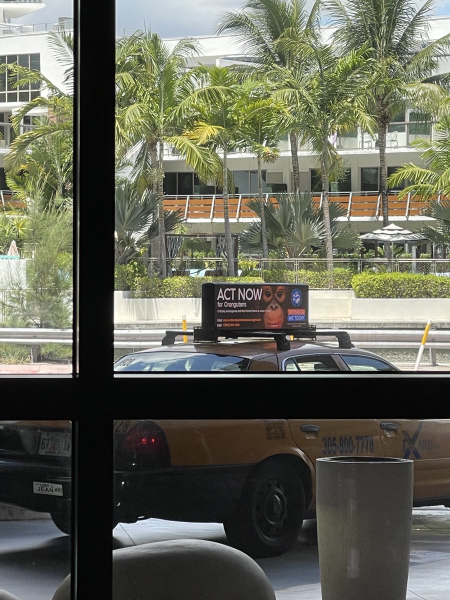 ⁦<a href="/Firefly_Cities/">Firefly</a>⁩ ⁦<a href="/kaangunay_/">Kaan Gunay</a>⁩ #fireflyinthewild