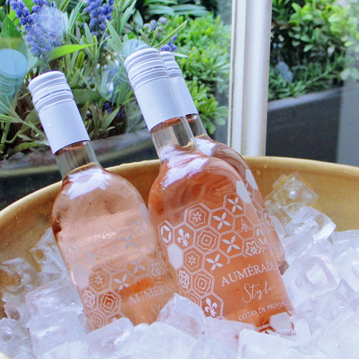 Great Northern Hotel tweet media