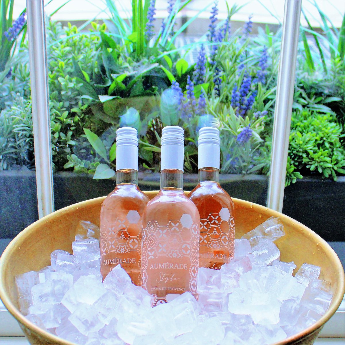 Great Northern Hotel tweet media