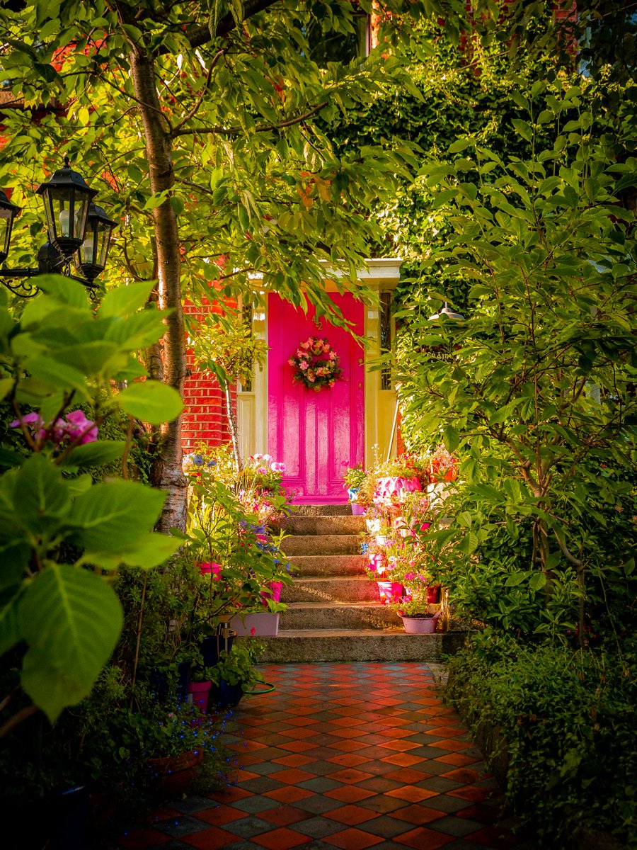 Doors of Dublin 
#dublin #ireland #summer #doorsofdublin #architecture #georgian <a href="/PhotosOfDublin/">Photos of Dublin</a> <a href="/LovinDublin/">Lovin Dublin</a> <a href="/dubcivictrust/">Dublin Civic Trust</a> @KilmainhamD8 @libertiesdublin <a href="/dublin/">dublin</a>