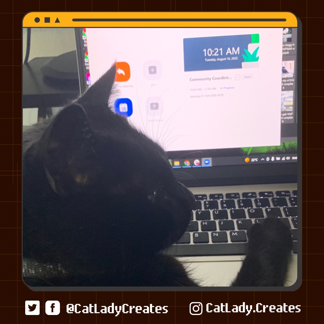 CatLadyCreates's tweet photo. Link is hard at work on #BlackCatAppreciationDay !
#virtualassistant #virtualassistants #virtualassistantlife #VAlife #virtualassistantCanada #grateful #featured #marketingva #socialmediava #marketing #digitalmarketging #socialmedia https://t.co/JijwHzTSmY