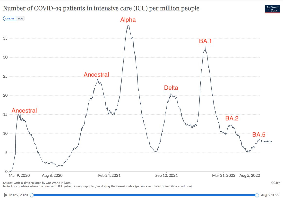 Isaac Bogoch tweet media