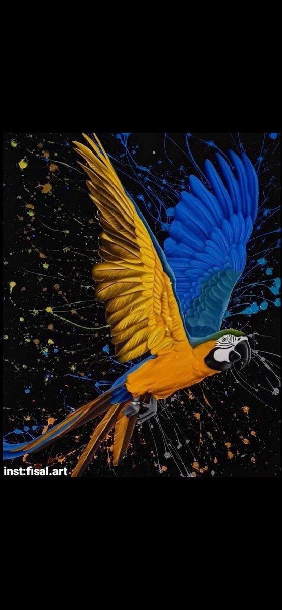 fisalart's tweet photo. @fine_Arts_gogh الوان زيتيه💛. https://t.co/EQcESQBTdW