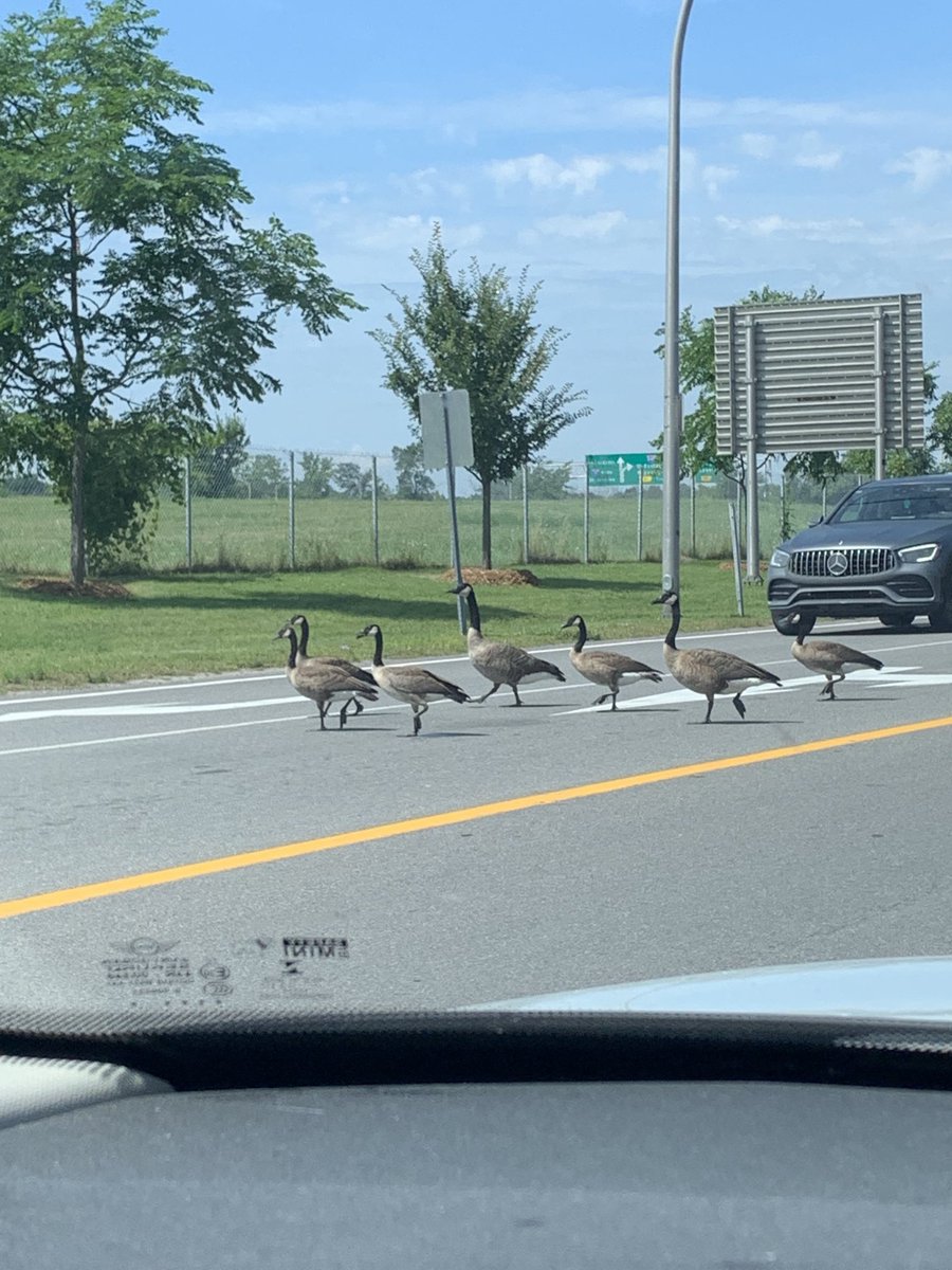 Only in Canada 🥰