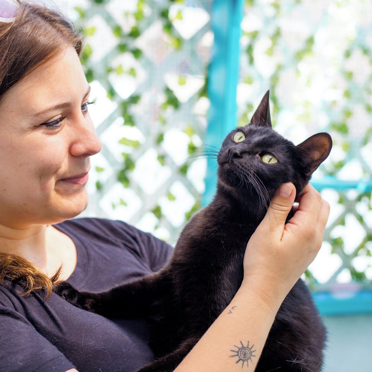 CatCafe Lounge tweet media