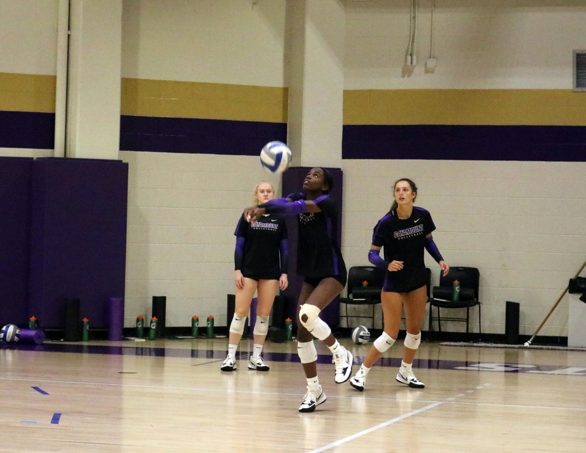 CatamountVB's tweet photo. Morning grind 🏐#wheebeforeme

Full gallery here: https://t.co/4ueVsNADHs https://t.co/I0f8iXtSiO