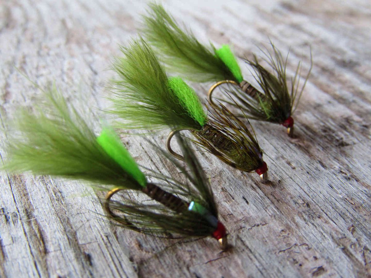 Irishflysup's tweet photo. Irish flies on line Damsels £1 each https://t.co/InPu8a6KUI https://t.co/UF1eIvznkZ