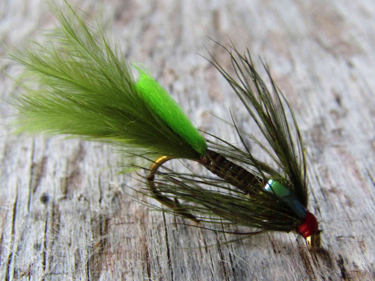 Irishflysup's tweet photo. Irish flies on line Damsels £1 each https://t.co/InPu8a6KUI https://t.co/UF1eIvznkZ
