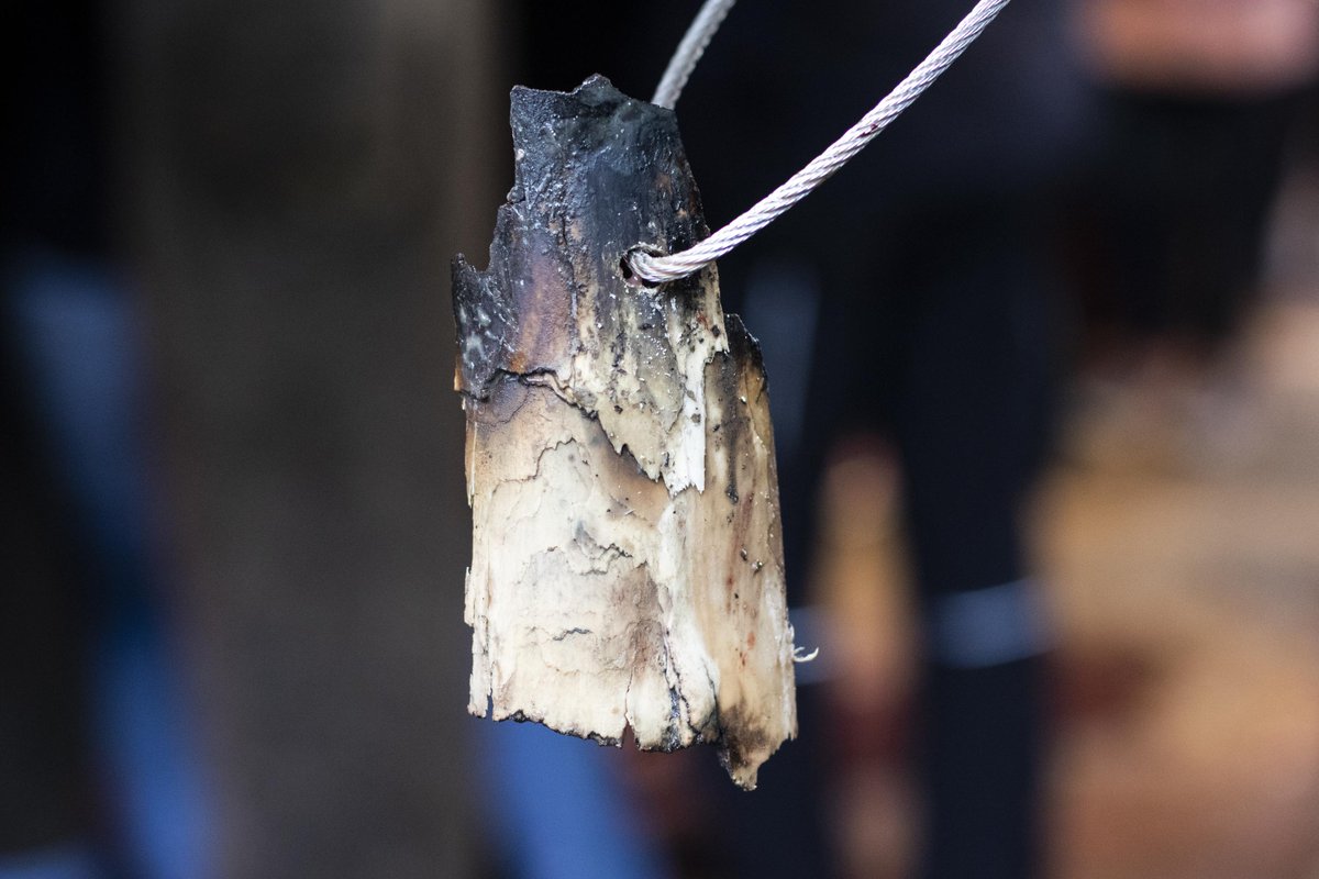 #KarachiElephants: 1st operation was a success! After more than 5 hours, our team on site is happy to report that this unique operation went well & elephant Madhubala is feeling fine! The tooth was 40cm long & rotten that’s why it was difficult to remove all the parts. #Pakistan