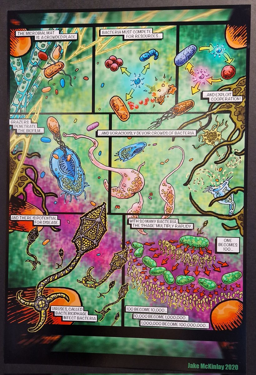 Fabio Palmieri (@palmieri_f_) on Twitter photo Amazing pictures and artworks at the "Discover the Microverse" exhibition organized by <a href="/NCCRMicrobiomes/">NCCR Microbiomes</a> for #ISME18 <a href="/ISME_microbes/">ISME - International Society for Microbial Ecology</a>
#microbes #sciart #scicomm Amazing pictures and artworks at the "Discover the Microverse" exhibition organized by <a href="/NCCRMicrobiomes/">NCCR Microbiomes</a> for #ISME18 <a href="/ISME_microbes/">ISME - International Society for Microbial Ecology</a>
#microbes #sciart #scicomm