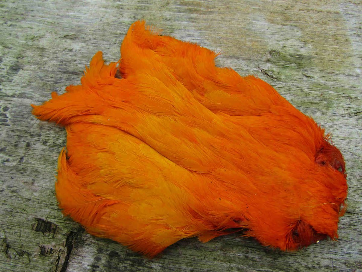 Irishflysup's tweet photo. Irish fly supplies hen necks in solar flare, west of Ireland, orkney peach and fiery Brown all £5.99 each.
https://t.co/J4xX2KFAN0 https://t.co/AC8XIgThvG
