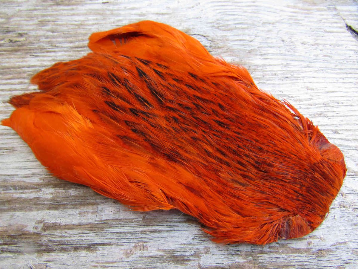 Irishflysup's tweet photo. Irish fly supplies hen necks in solar flare, west of Ireland, orkney peach and fiery Brown all £5.99 each.
https://t.co/J4xX2KFAN0 https://t.co/AC8XIgThvG