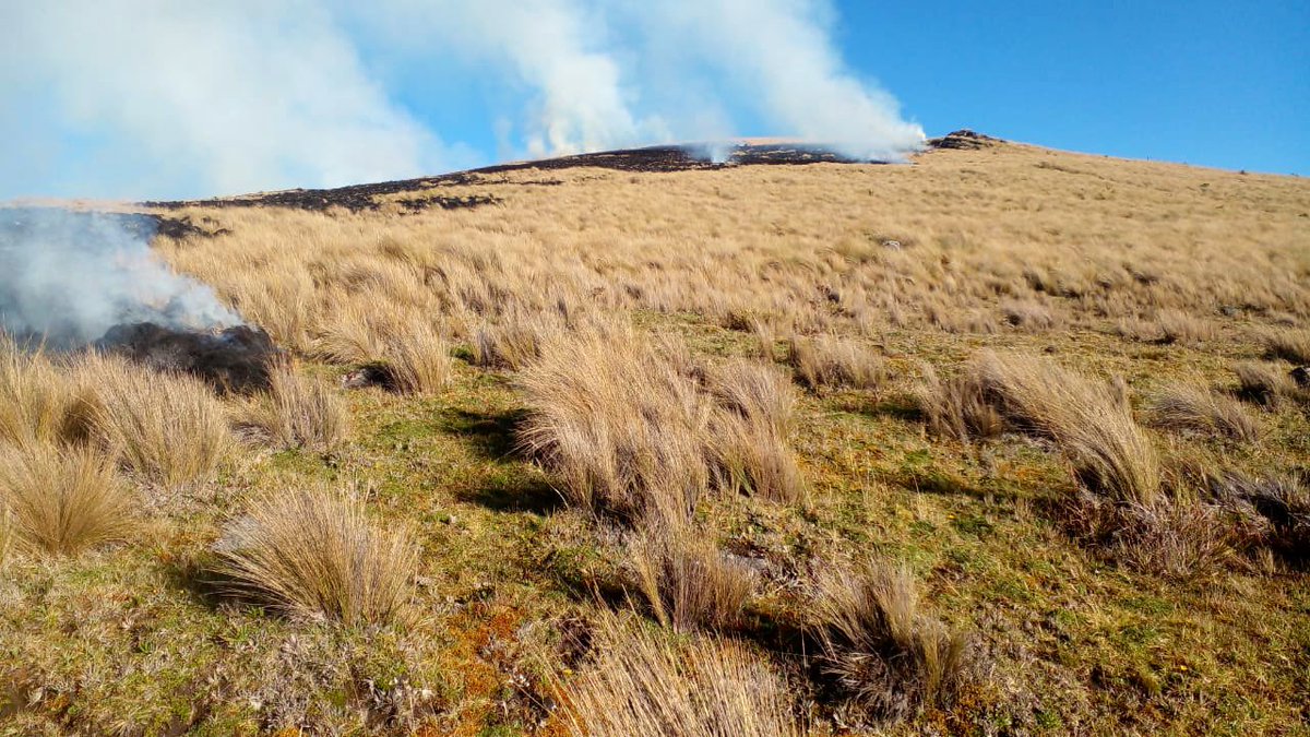 NuevoTiempoCue's tweet photo. #ATENCIÓN
Se registra incendio forestar en el sector de Cancan, parroquia #Cuacha, de acuerdo a @Bomberos_Cuenca
el fuego afecta a un área de 20 hectáreas aproximadamente; se trata de vegetación tipo pajonal.

📸 @ECU911Austro https://t.co/4txRRgPUgm