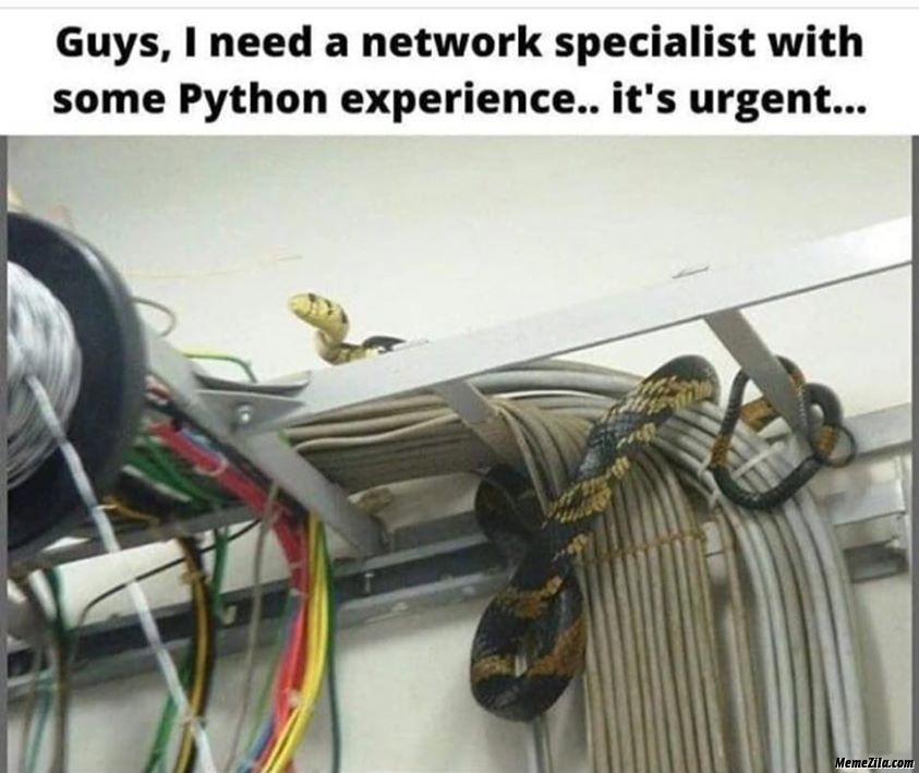 meraki's tweet image. 🧐 Know anyone up for this job? Tag them in the comments 🤣

#MerakiHumor #CiscoMeraki

📸 MemeZilla