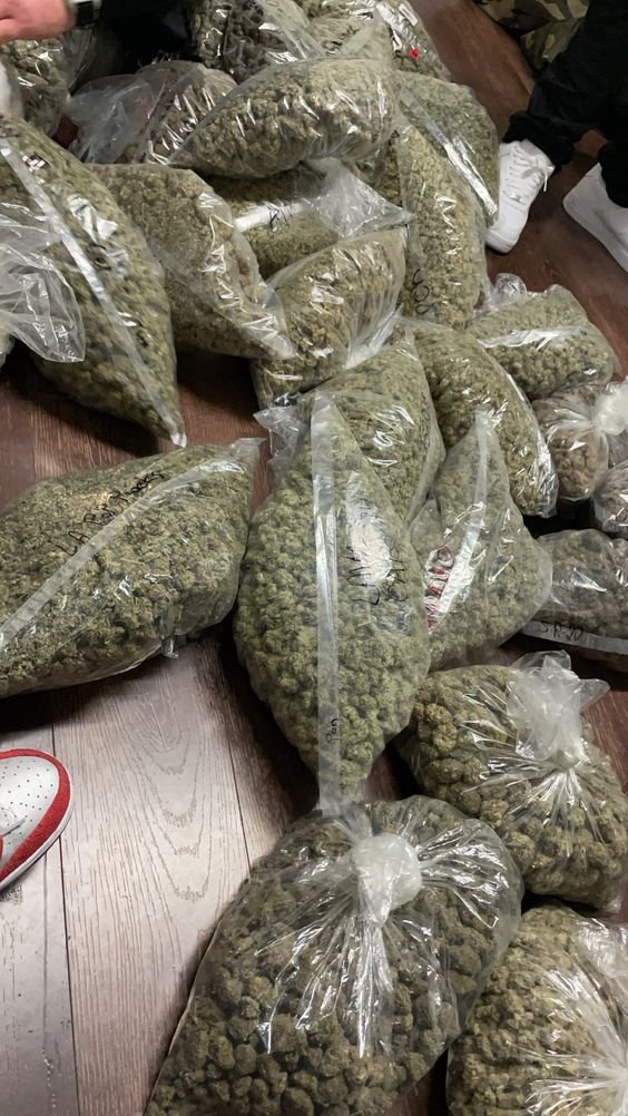 SPACECANNABIS's tweet photo. se for encher meu saco enche assim https://t.co/UzZeduzJVN