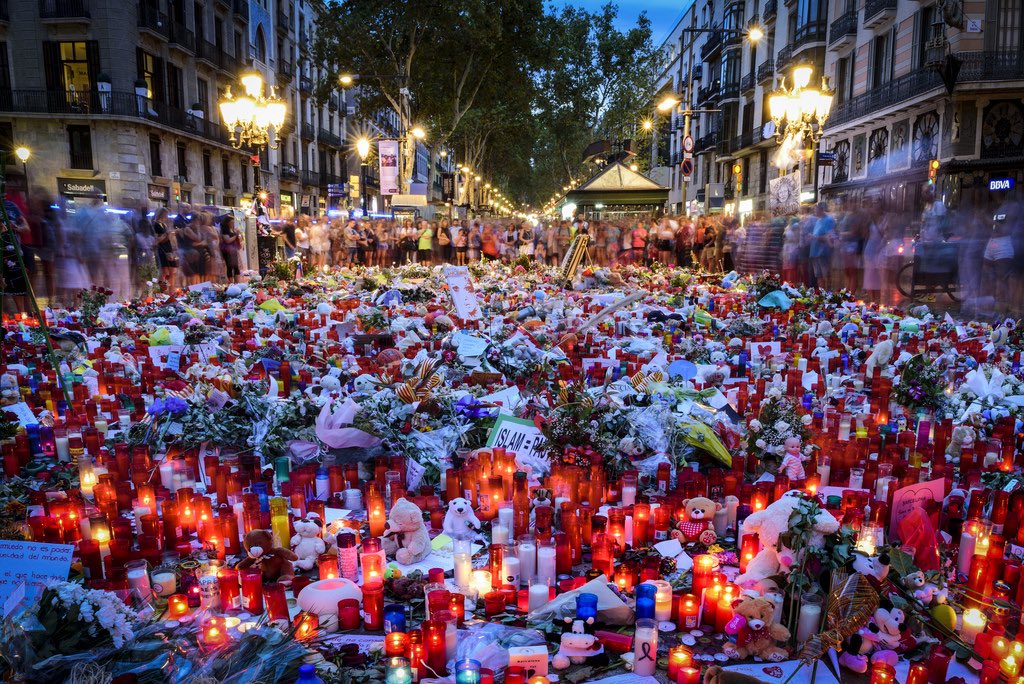 Primàries Catalunya tweet media