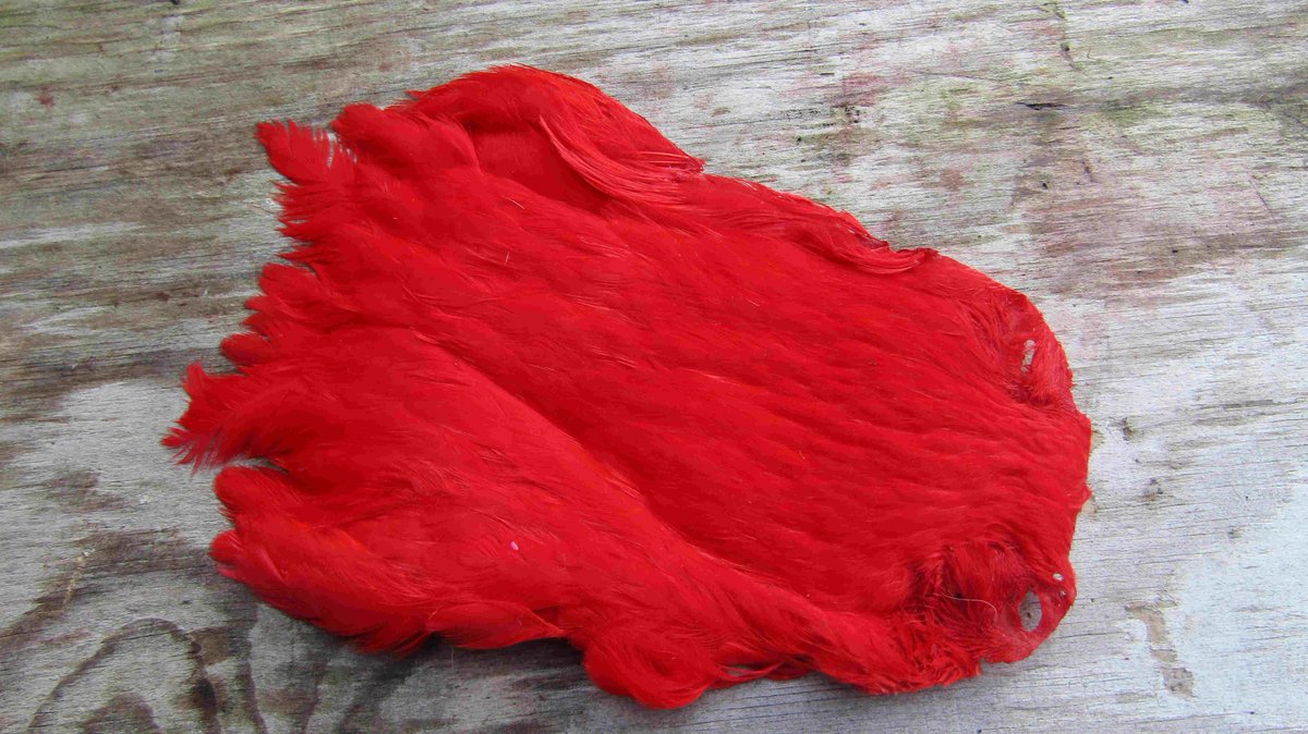 Irishflysup's tweet photo. Irish fly supplies hen necks in Red, magenta, purple and chartreuse all £5.99 each.
https://t.co/EkDEN3tFVu https://t.co/2vgJW0bQIp