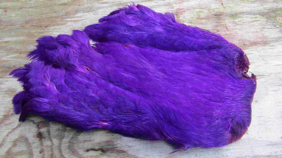Irishflysup's tweet photo. Irish fly supplies hen necks in Red, magenta, purple and chartreuse all £5.99 each.
https://t.co/EkDEN3tFVu https://t.co/2vgJW0bQIp