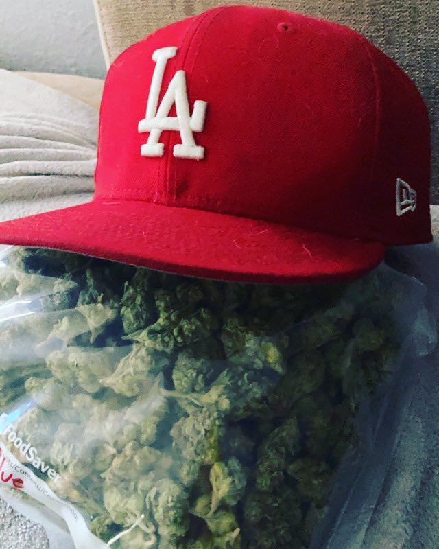 420Dasavage's tweet photo. Who tying to smoke? @Lettie_baby   @sandiegoswinger @HotSwingerParty @SoCalVers2022 @playboypapi760 @maehni760 @wizkhalifa @WeedPorns #420friendly #BetterCallSaul #ENHYPEN_SUNOO #420Life #weedsmokers #WeedLovers #trees @420madisonivy @kylieluvsyouuu @Eva_Maxim @sexylifestyl https://t.co/rIS5NvHxsm